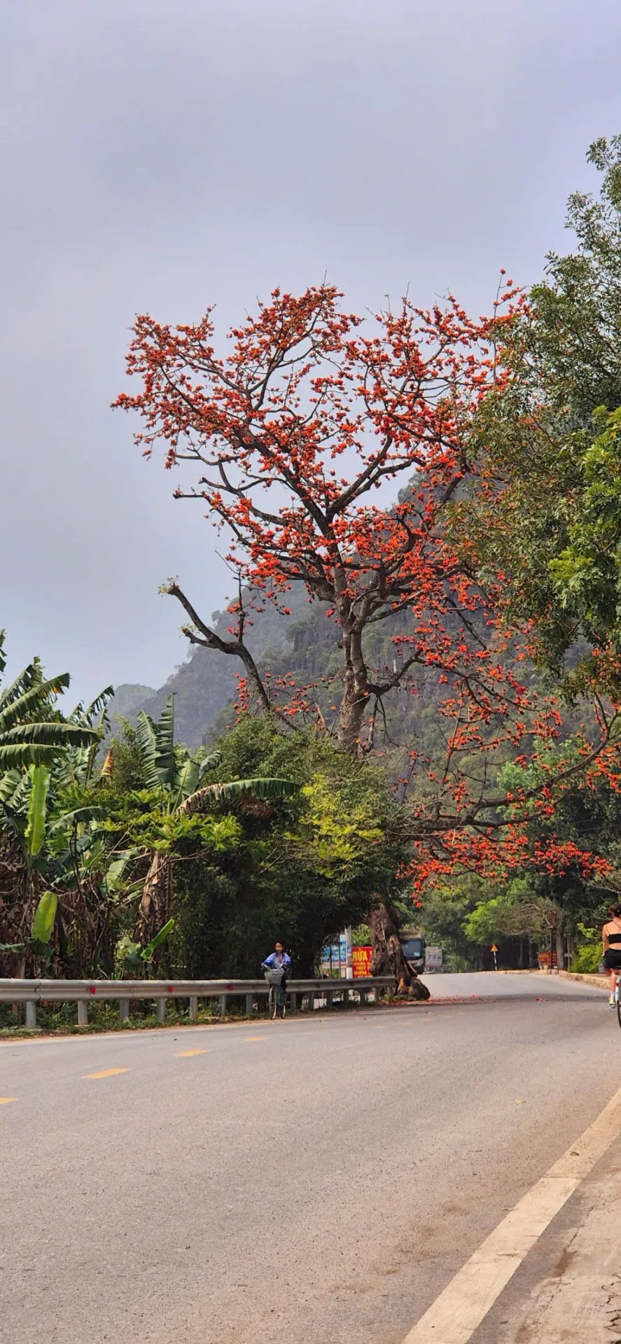 BAI DINH - HOA LU – TRANG AN - MUA CAVE - 1 DAY TRIP